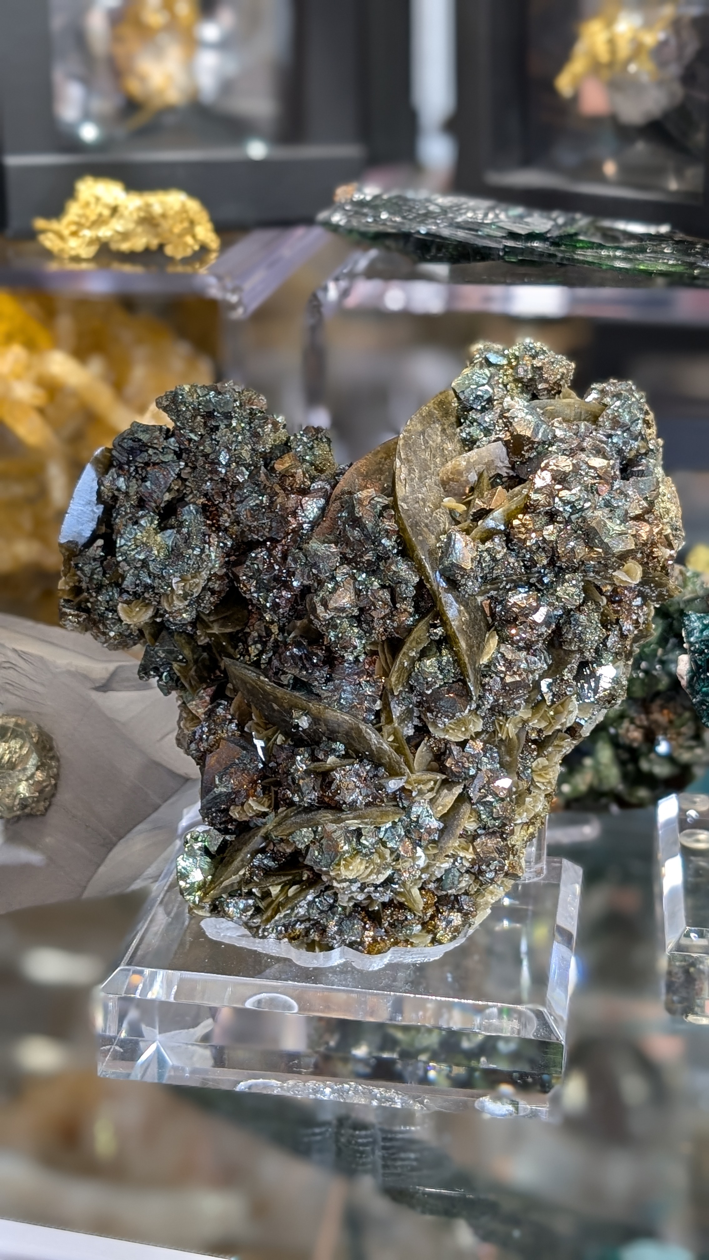 Siderite with Chalcopyrite – Sculptural Blades with Iridescent Metallic Constellations