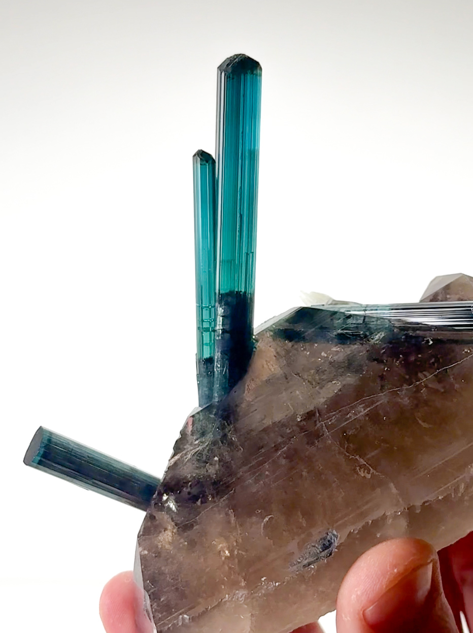 Indicolite Tourmaline on Quartz – Thiago’s Pocket, Electric Blue Crystal Spray