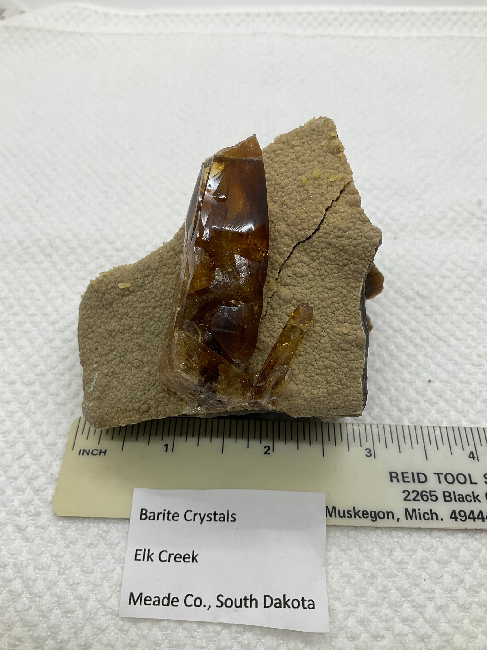 Barite on Calcite in Septarian Nodule – Gemmy Amber Barite Crystal