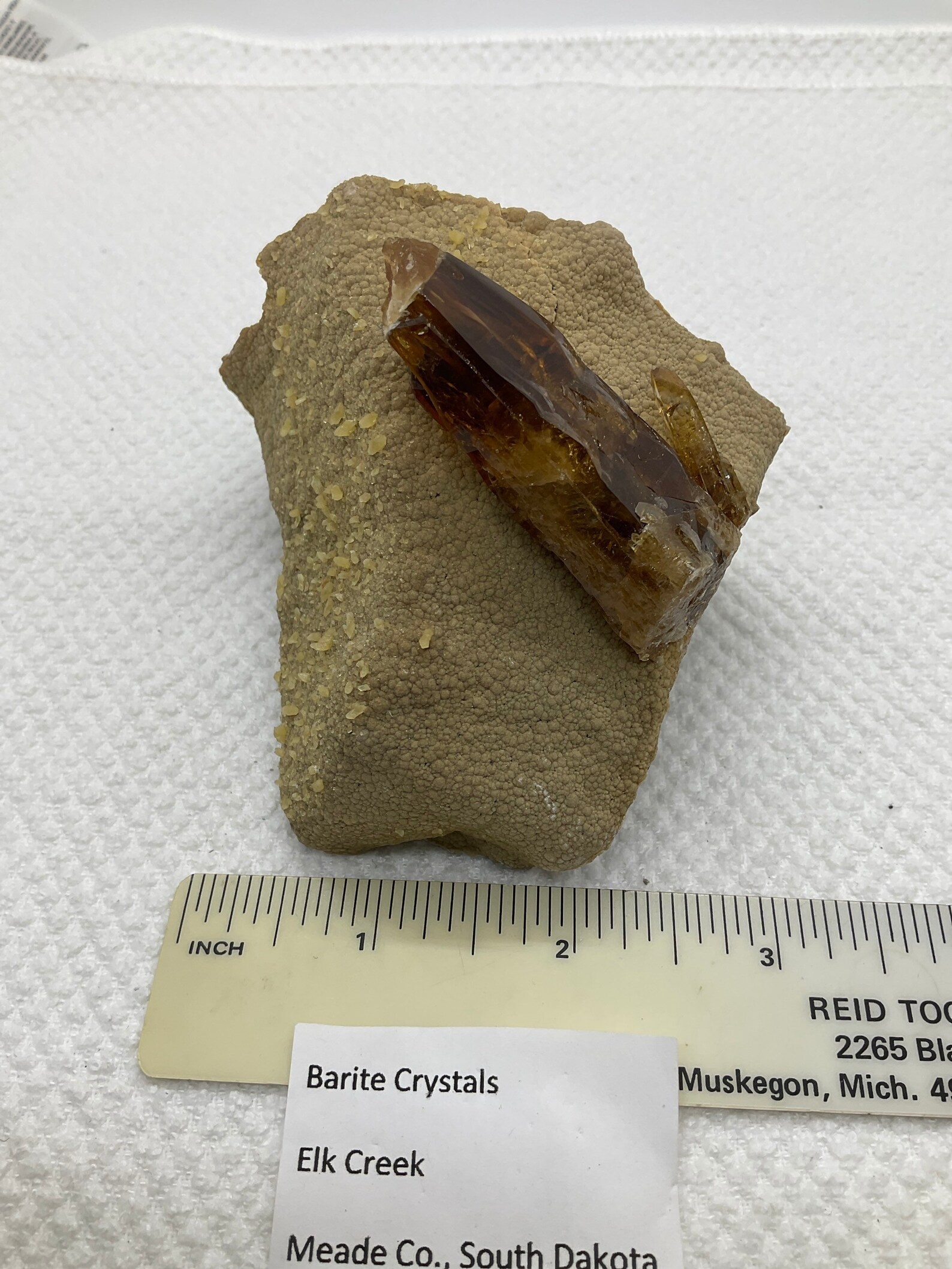 Barite on Calcite in Septarian Nodule – Gemmy Amber Barite Crystal