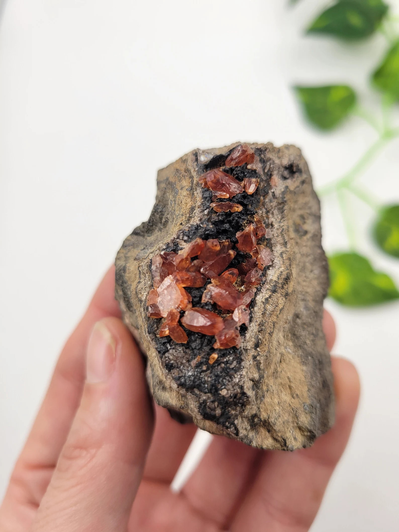 Rhodochrosite on Black Manganite - Deep Red Terminated Crystal Cluster