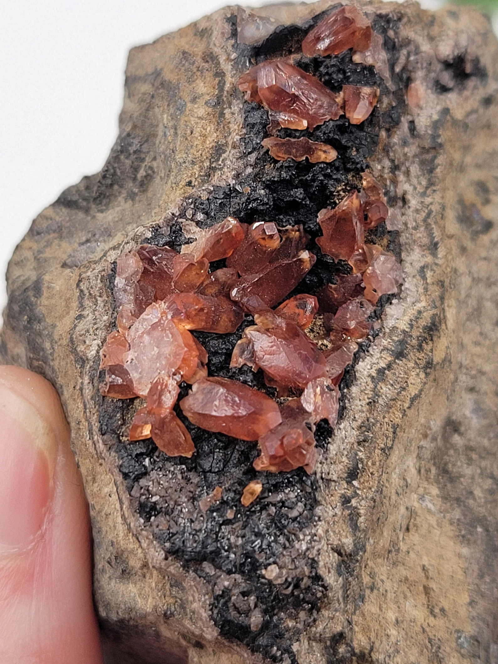 Rhodochrosite on Black Manganite - Deep Red Terminated Crystal Cluster