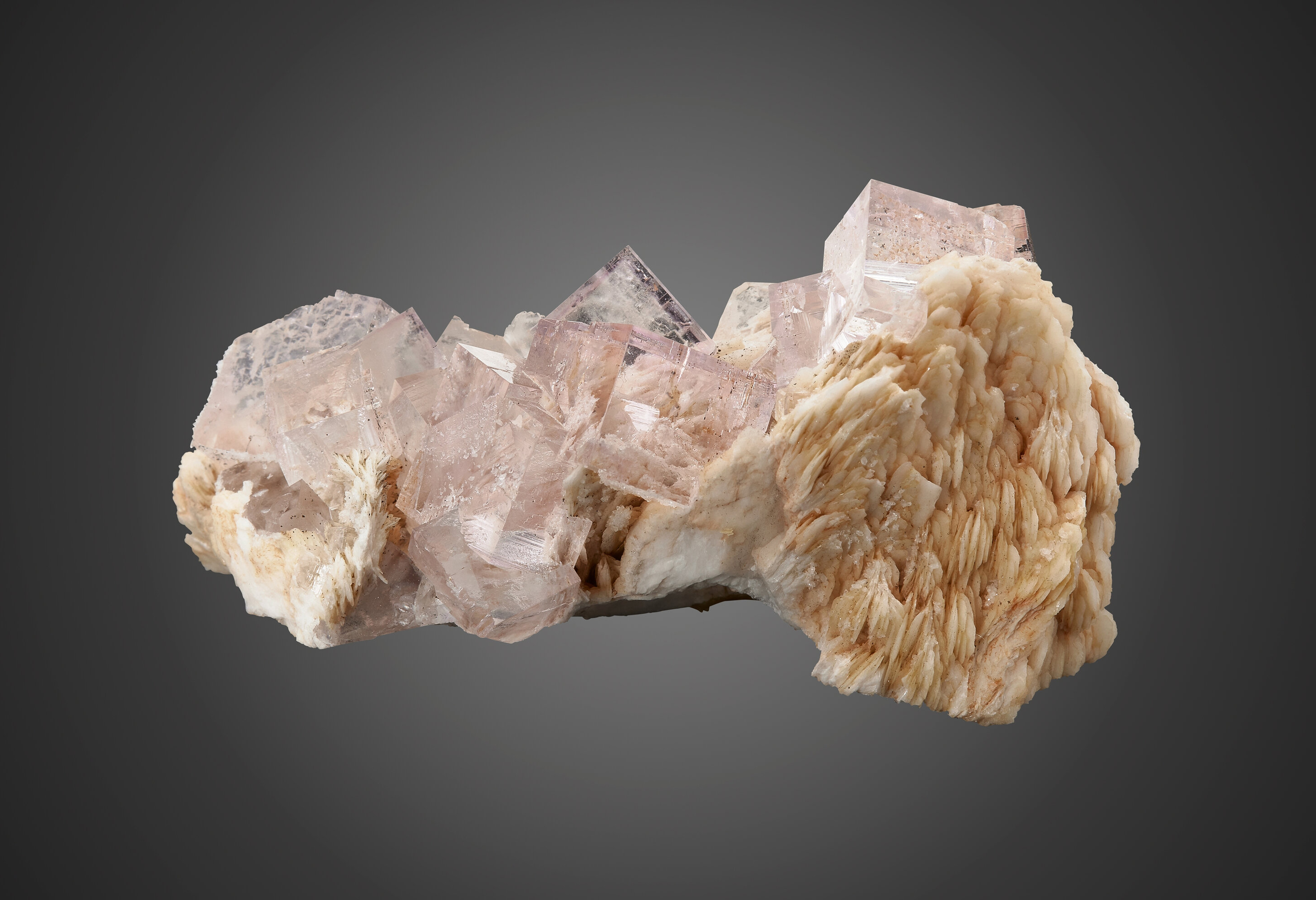 Fluorite on Baryte – Gem-Clear Lilac Cubes on Bladed Baryte Matrix