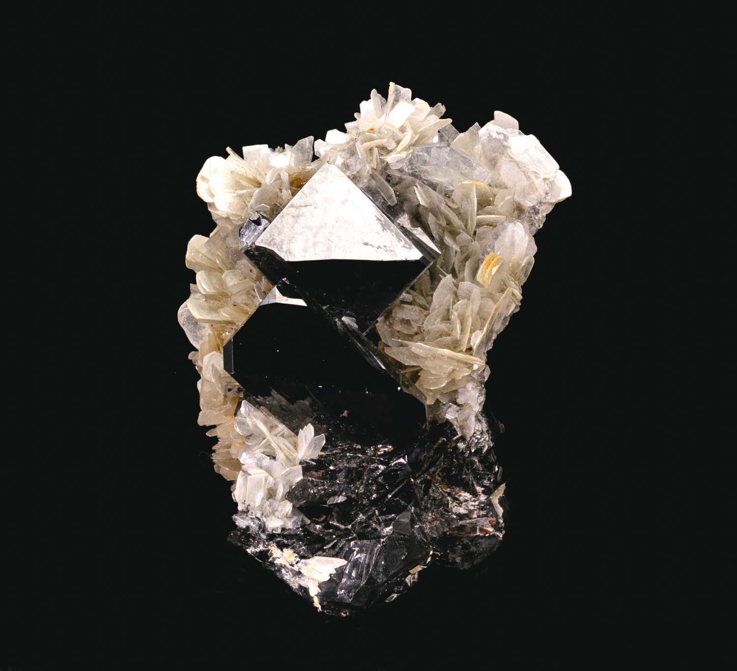 Cassiterite with Muscovite – Mirror-Luster Crystals on Mica Matrix
