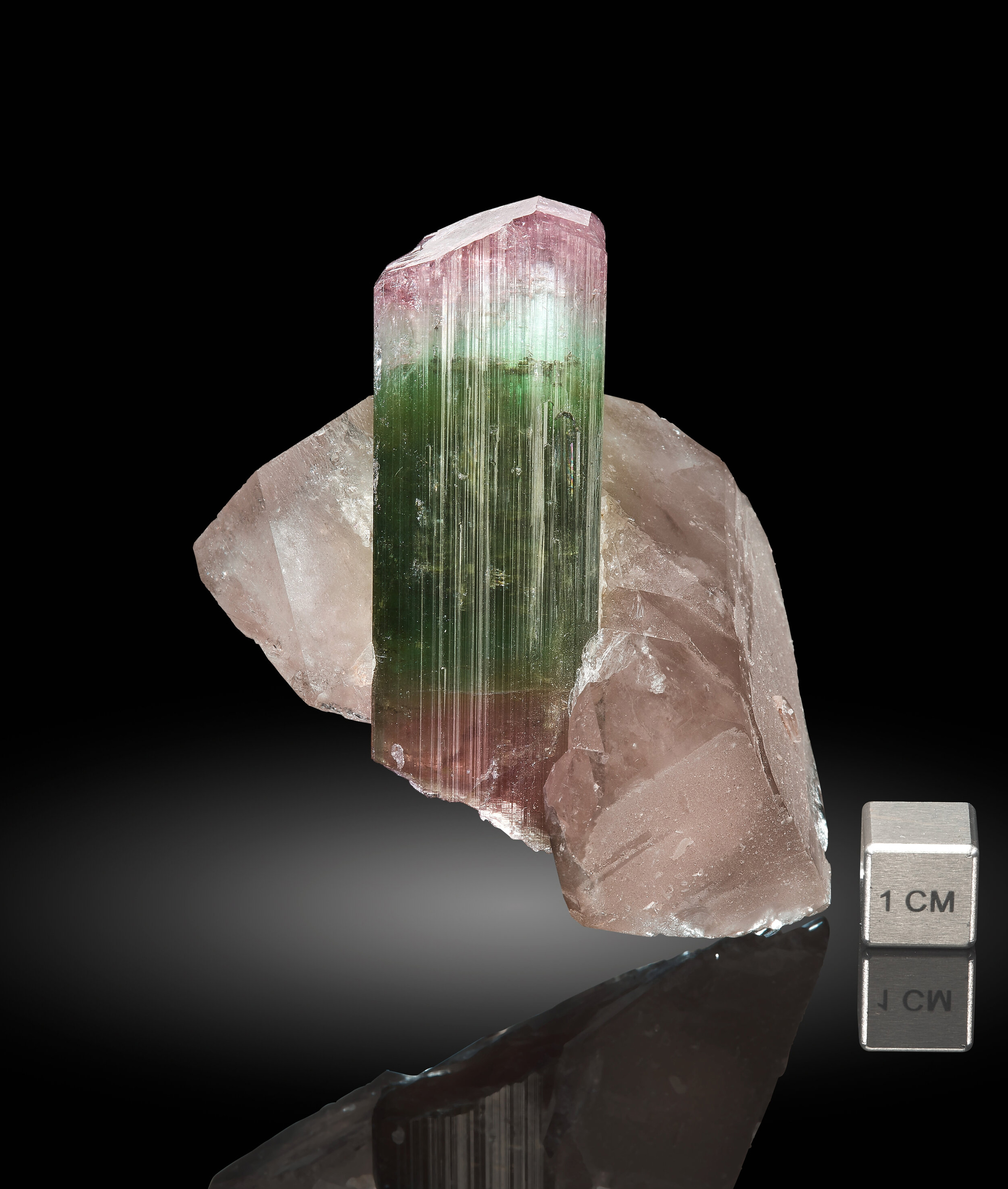 Elbaite Tourmaline with Smoky Quartz – Bi-Color Watermelon Zoning, Sharp Termination, Paprok Classic