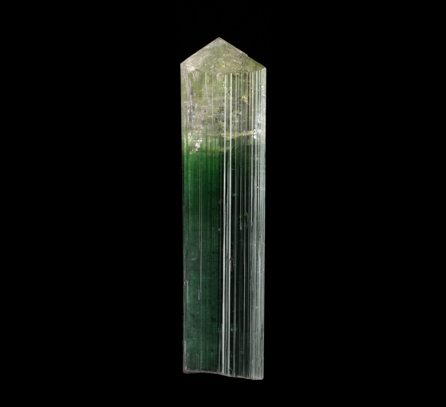 Elbaite Tourmaline – Slender Bi-Color Prism with Pale Cap and Razor Termination, Dara-e-Pech Classic