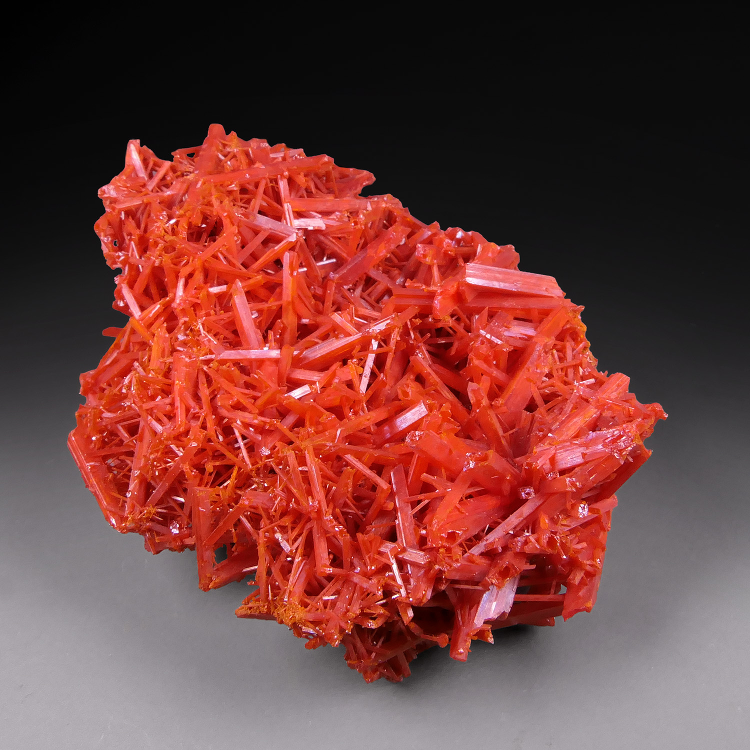Crocoite – Fiery Red-Orange Radiating Acicular Crystal Aggregate, Classic Dundas