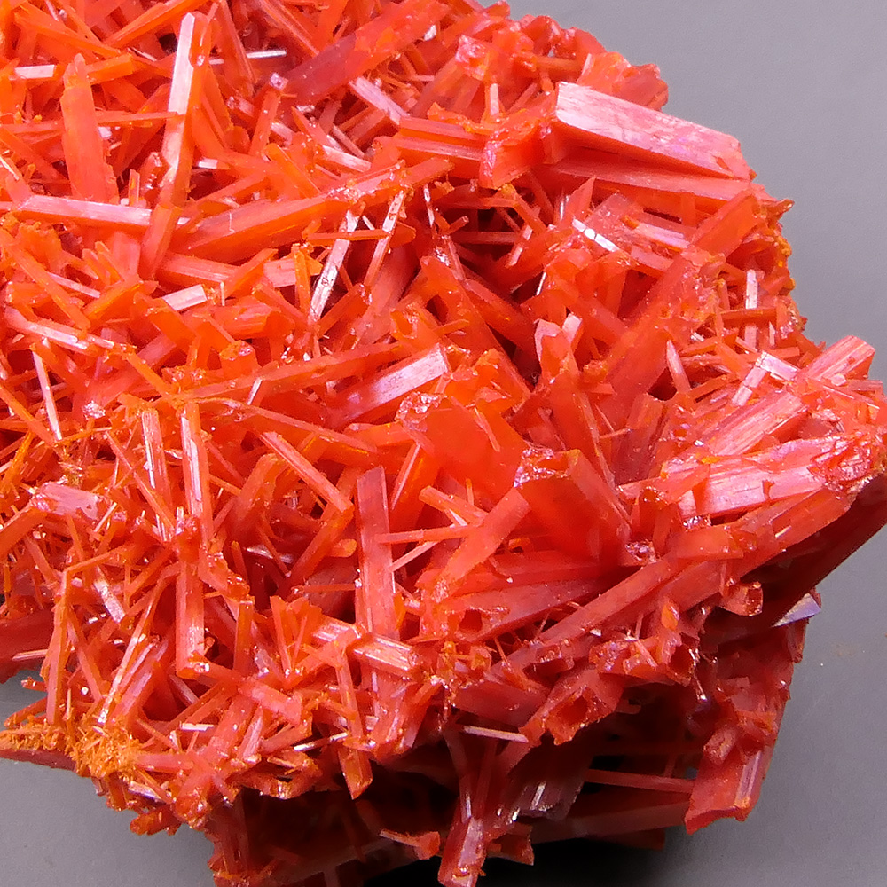 Crocoite – Fiery Red-Orange Radiating Acicular Crystal Aggregate, Classic Dundas