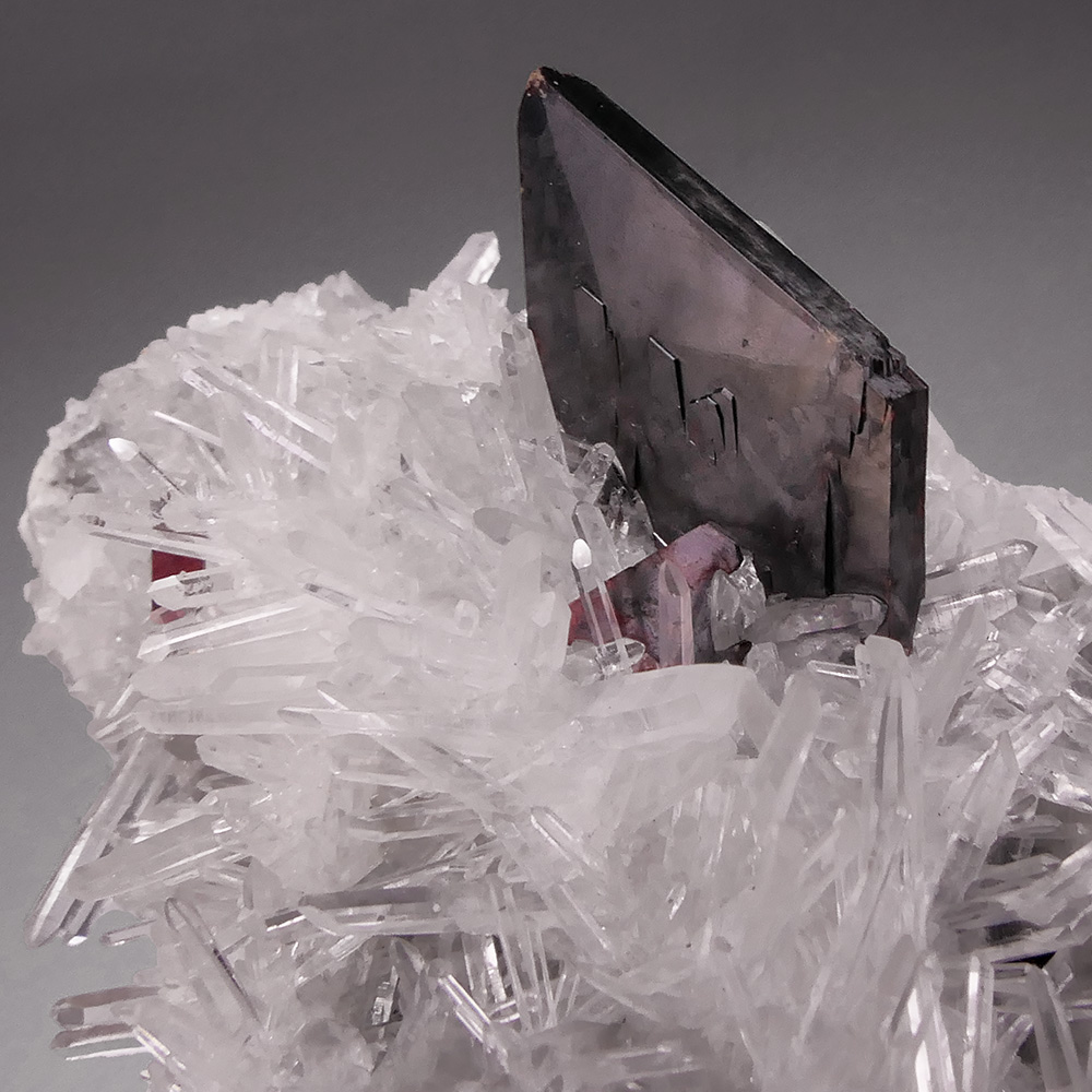 Hübnerite with Quartz – Bladed Tabular Crystal on Sparkling Quartz Matrix, Mundo Nuevo Classic