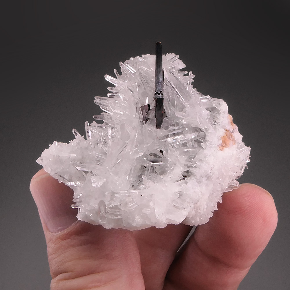 Hübnerite with Quartz – Bladed Tabular Crystal on Sparkling Quartz Matrix, Mundo Nuevo Classic