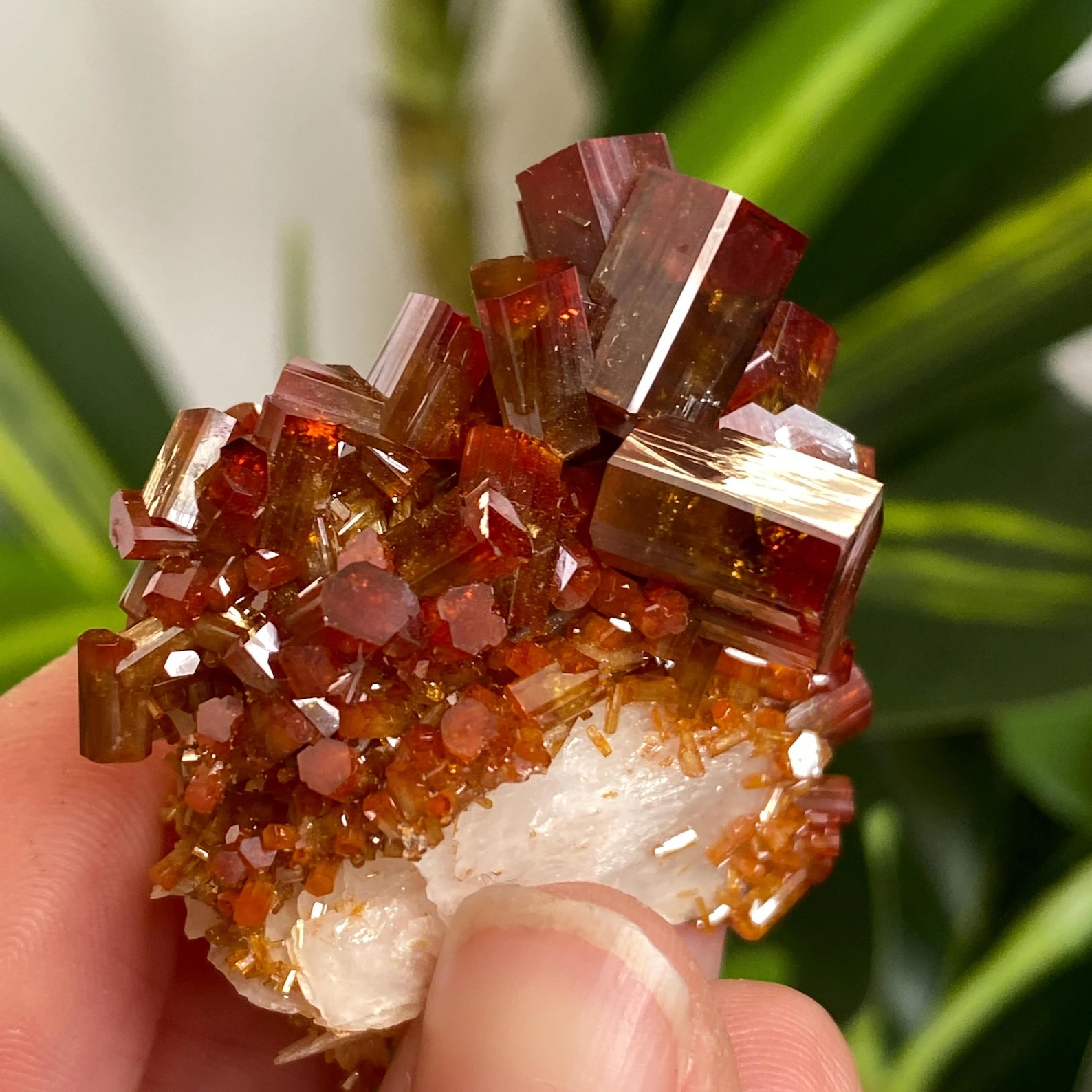 Vanadinite on Baryte – Elongated Beryl-Like Prismatic Crystals with Bi-Color Red Zoning