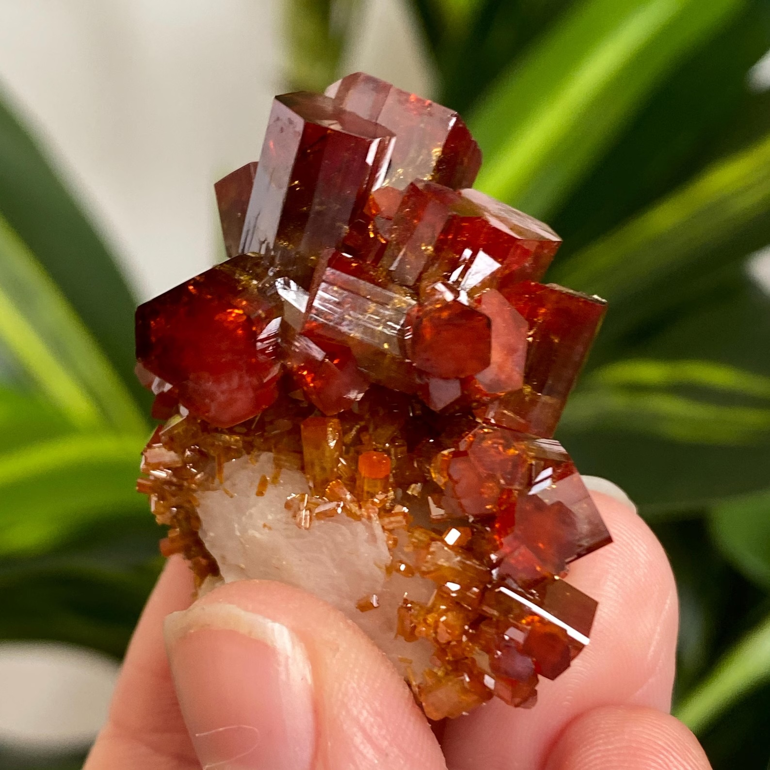 Vanadinite on Baryte – Elongated Beryl-Like Prismatic Crystals with Bi-Color Red Zoning