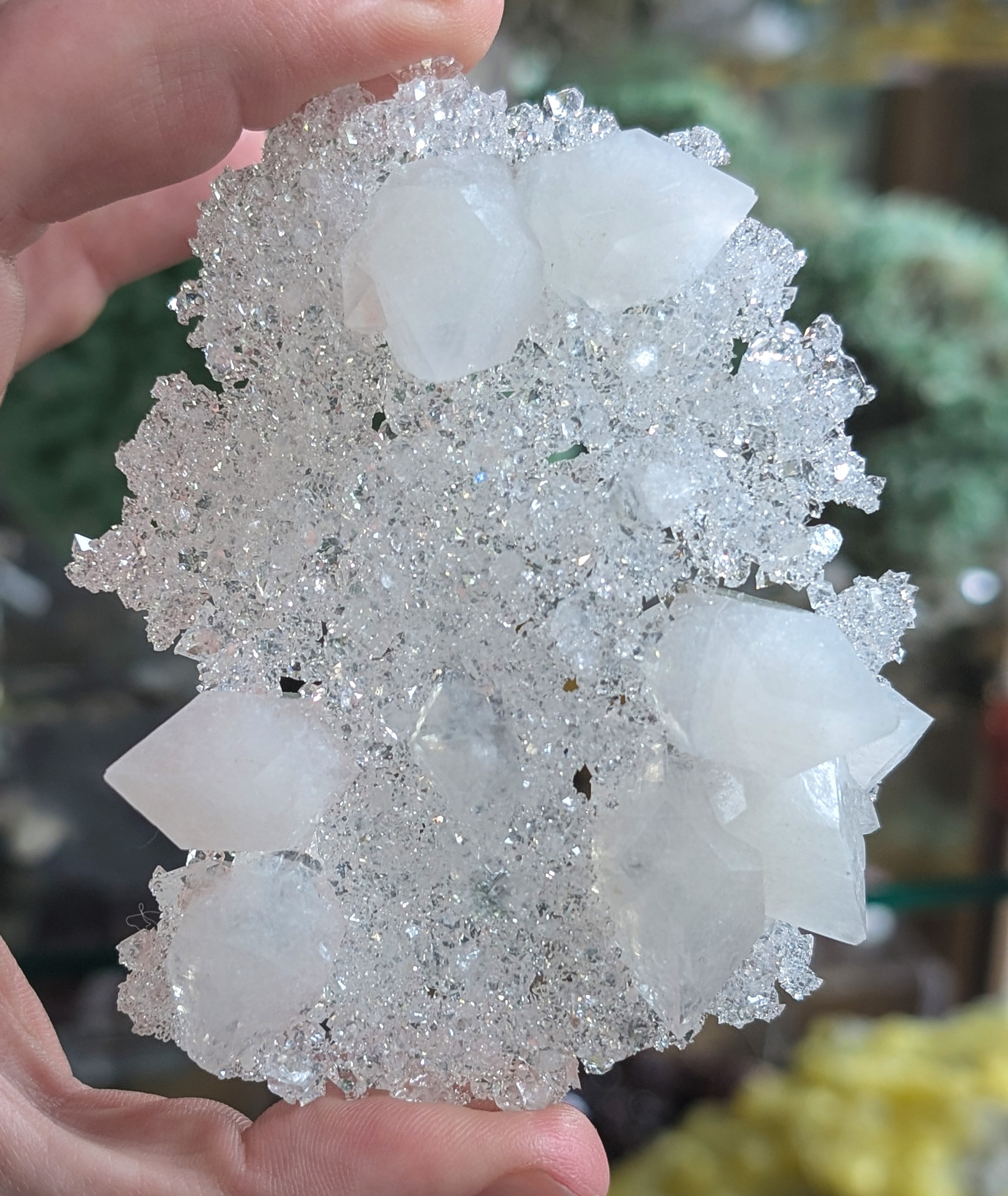 Apophyllite – Sparkling Gemmy Druzy Plate with Sculptural White Terminated Crystals