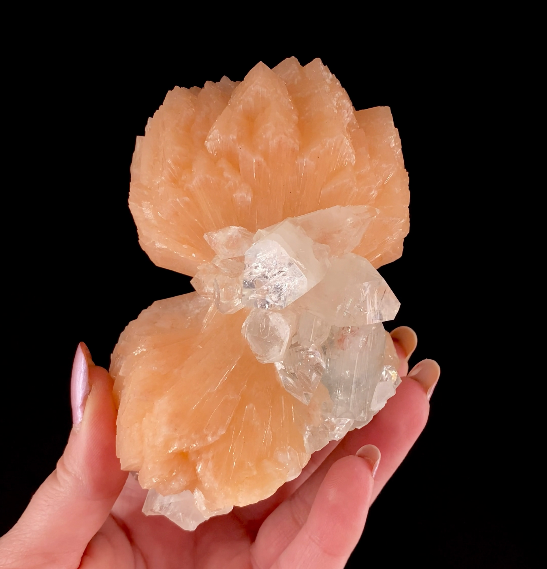 Stilbite with Fluorapophyllite - Lustrous Salmon Twin Bow Tie Aggregate with Glassy Prismatic Accents