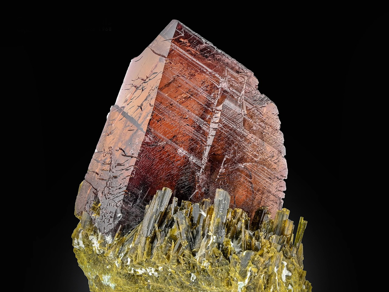 Axinite with Epidote – Lustrous Copper-Brown Gem Crystal Rising from Emerald-Green Epidote Matrix