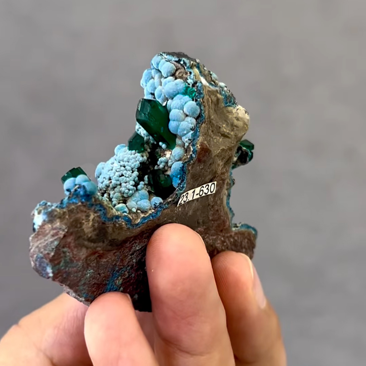 Dioptase on Chrysocolla – Gemmy Emerald-Green Crystals on Vibrant Botryoidal Blue Matrix