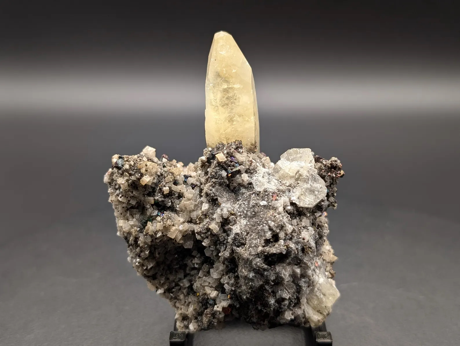 Related Specimen
