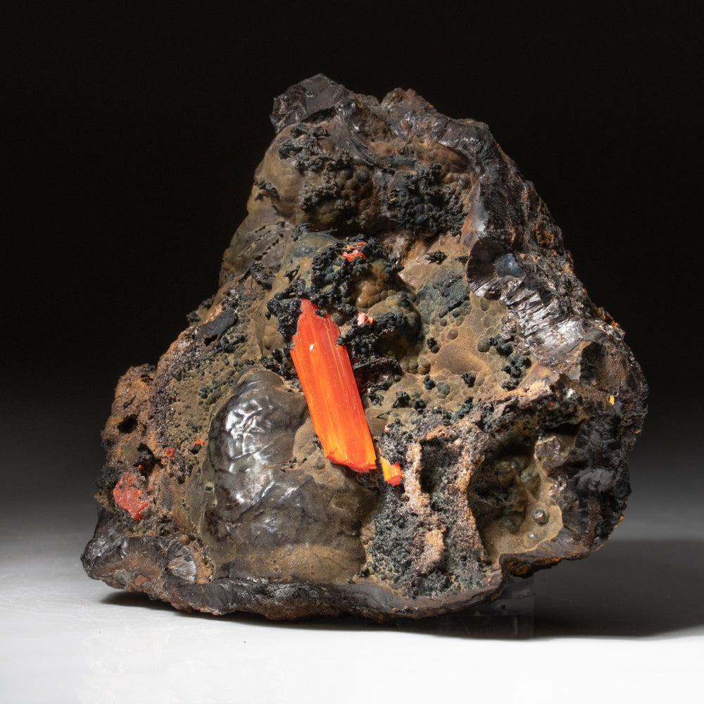 Crocoite on Hematite – Large Translucent Red-Orange Terminated Crystal on Botryoidal Metallic Matrix