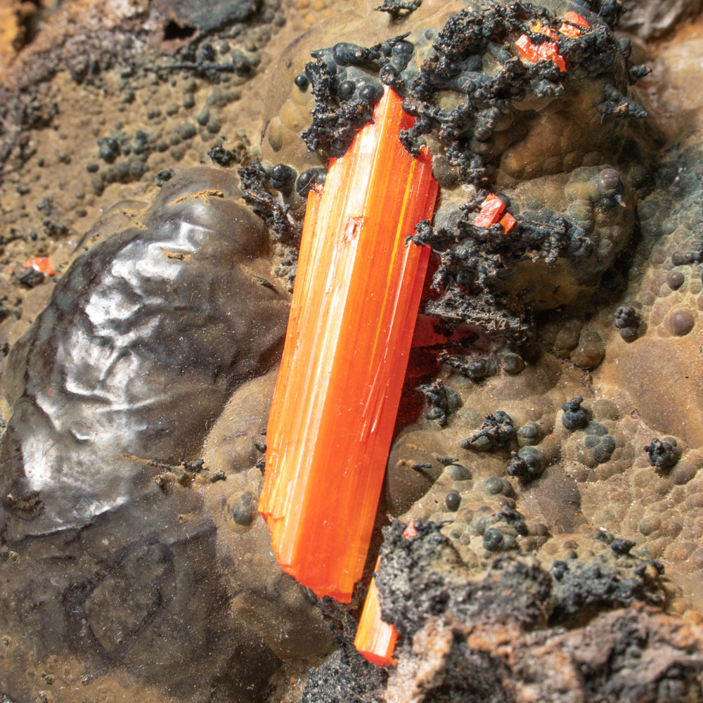 Crocoite on Hematite – Large Translucent Red-Orange Terminated Crystal on Botryoidal Metallic Matrix