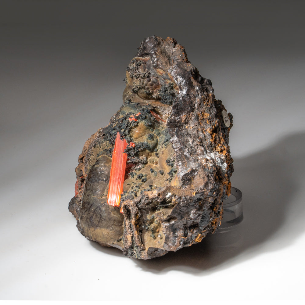 Crocoite on Hematite – Large Translucent Red-Orange Terminated Crystal on Botryoidal Metallic Matrix