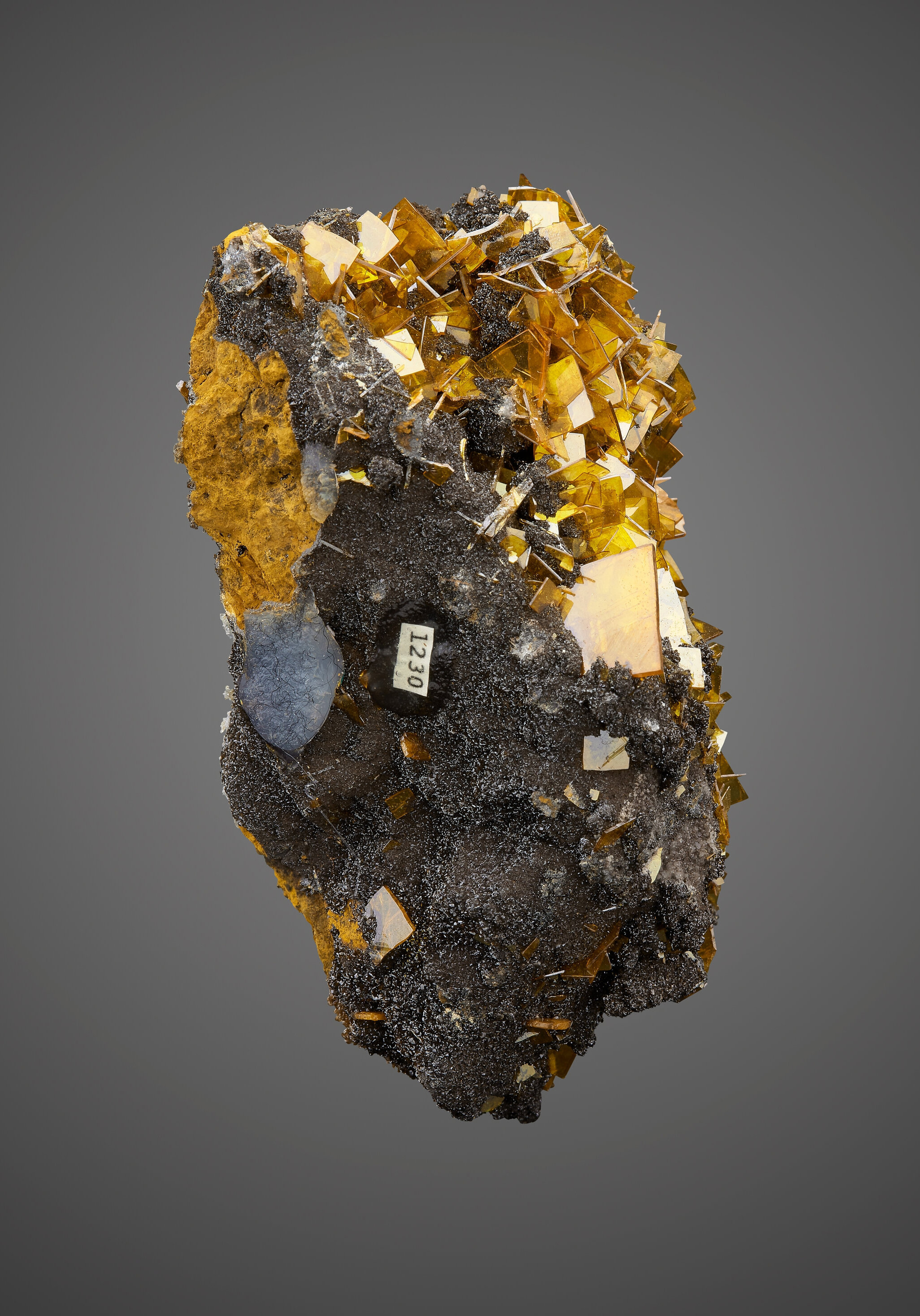 Wulfenite on Hematite – Glassy Yellow-Orange Tabular Crystals on Black Botryoidal Matrix