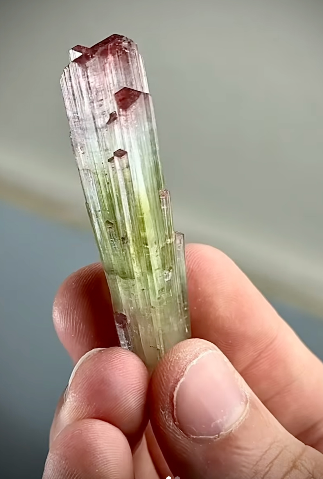 Tourmaline - Natural Watermelon Multicolor Crystal with Pristine Termination