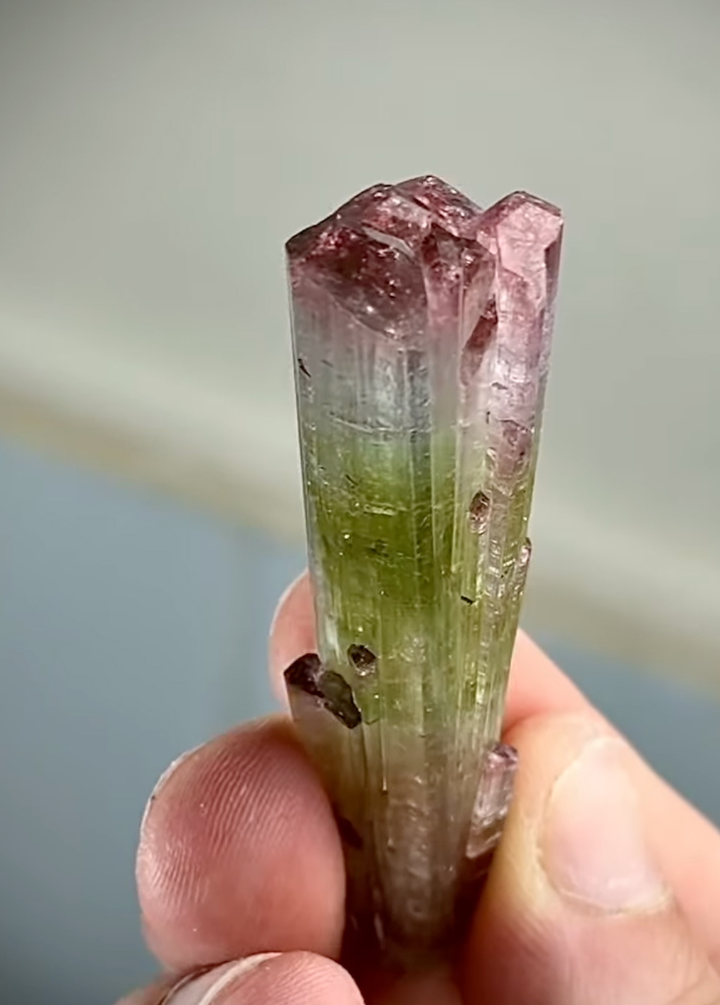 Tourmaline - Natural Watermelon Multicolor Crystal with Pristine Termination