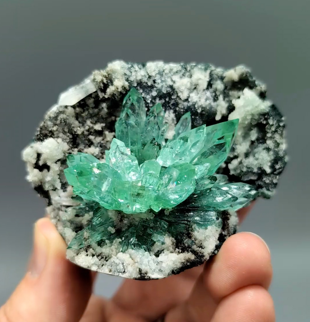 Green Apophyllite – Vivid Gemmy Flower Cluster in Vug Matrix