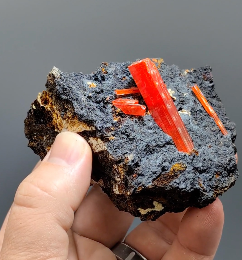 Crocoite – Exceptionally Thick, Gemmy Crystal on Contrasting Matrix