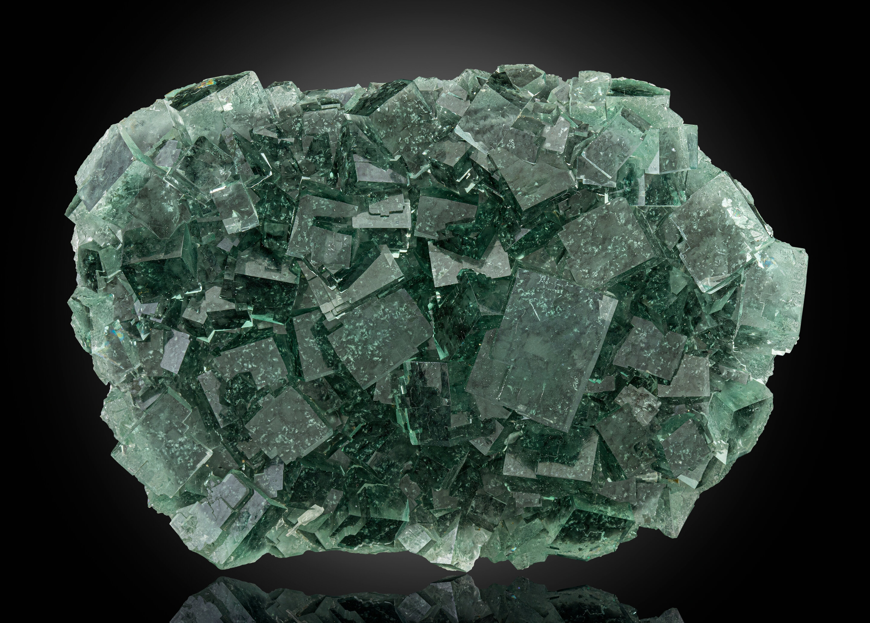 Gem Clear Fluorite Plate on Green Matrix