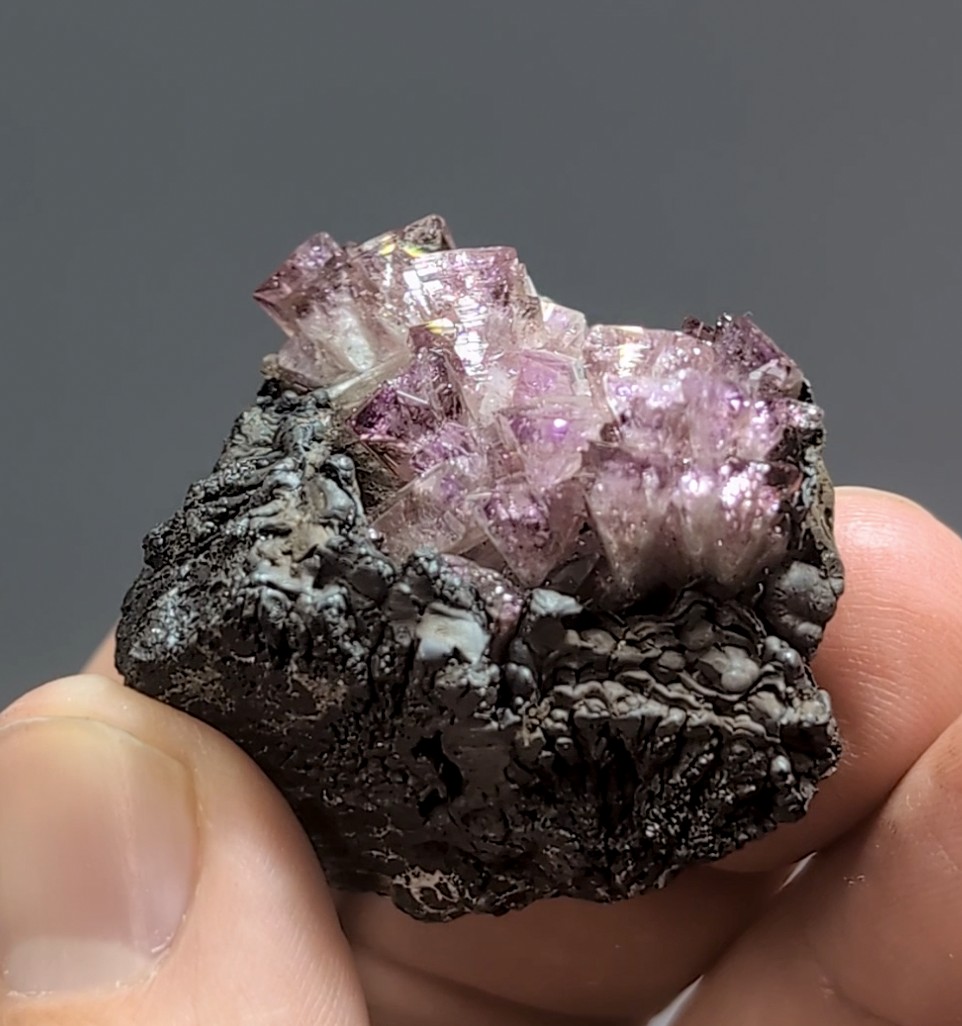 Adamite (Manganoan) - Purple Crystal Cluster on Goethite, Ojuela Mine