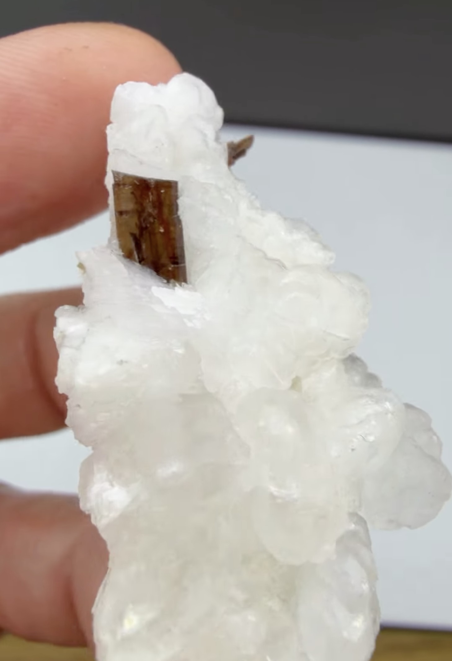 Allanite on Calcite - Lustrous Olive-Brown Blades on Snow-White Druse, Trimouns, France