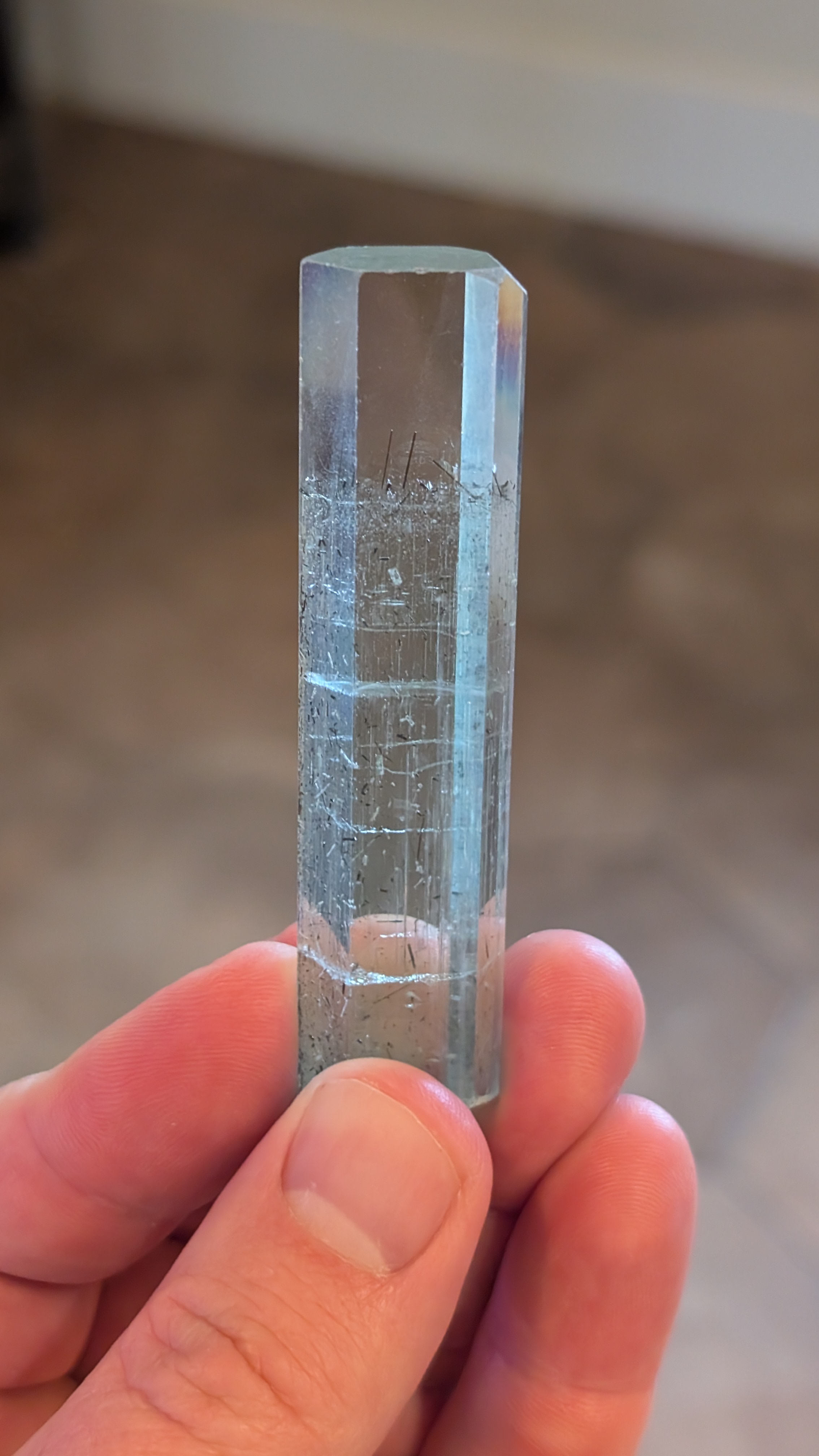 Related Specimen
