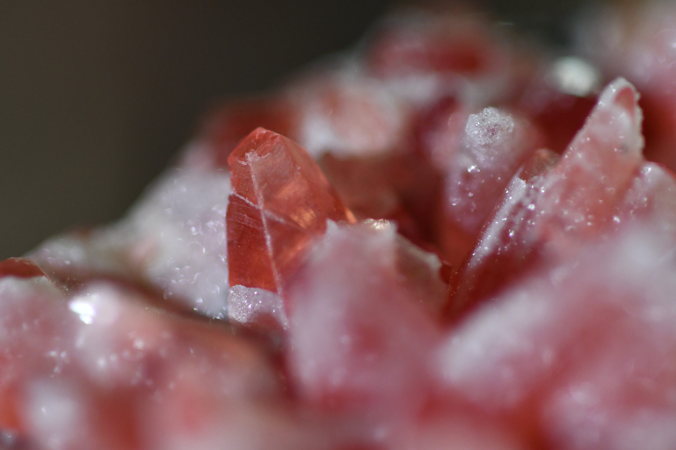 Rhodochrosite Dogtooth Cluster with Quartz Dusting