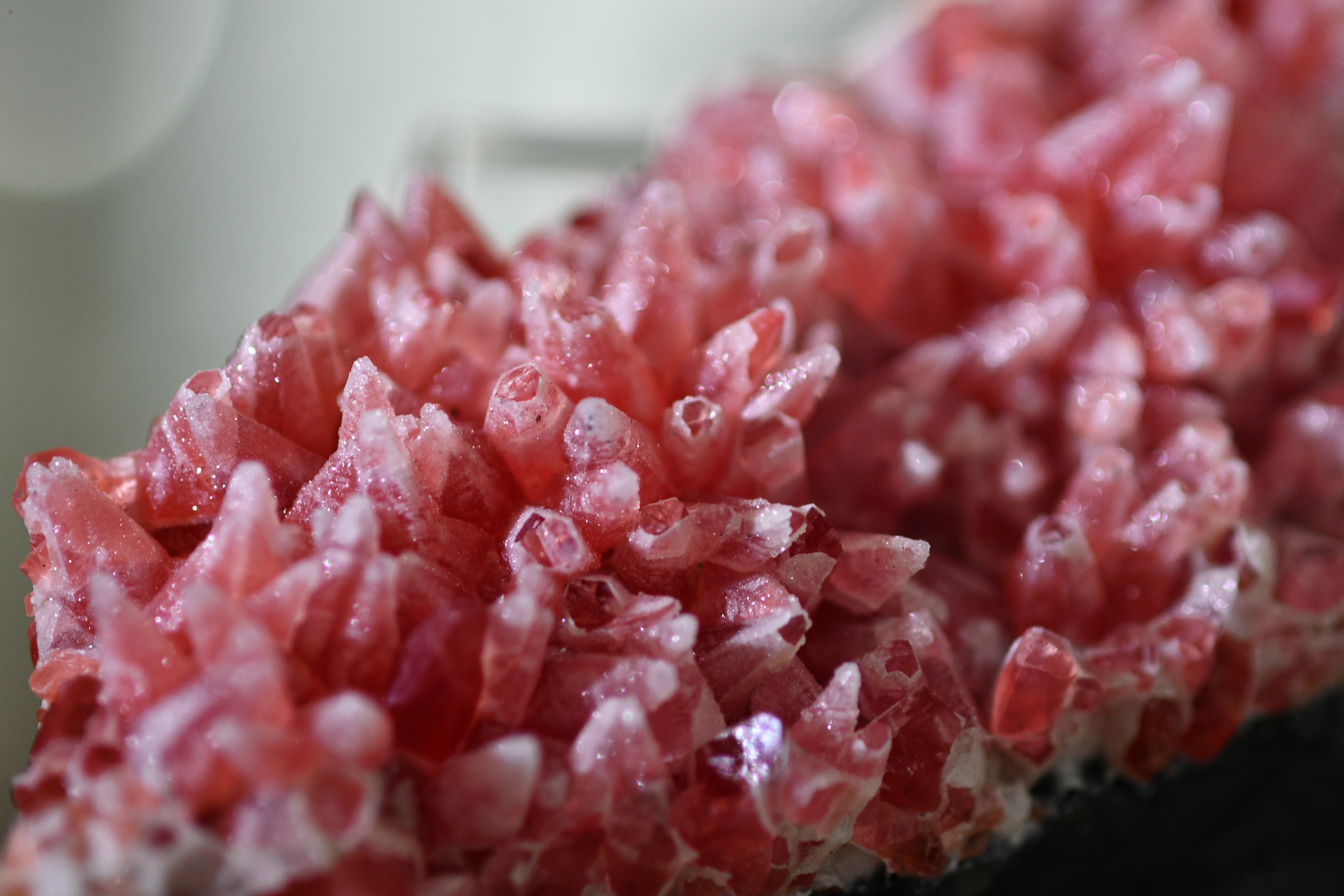 Rhodochrosite Dogtooth Cluster with Quartz Dusting