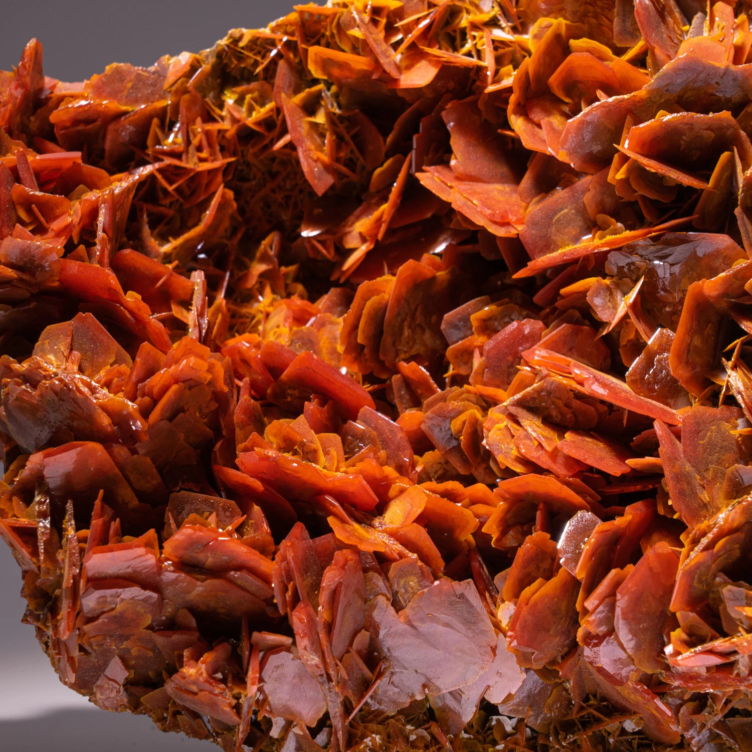 Large Wulfenite Cluster