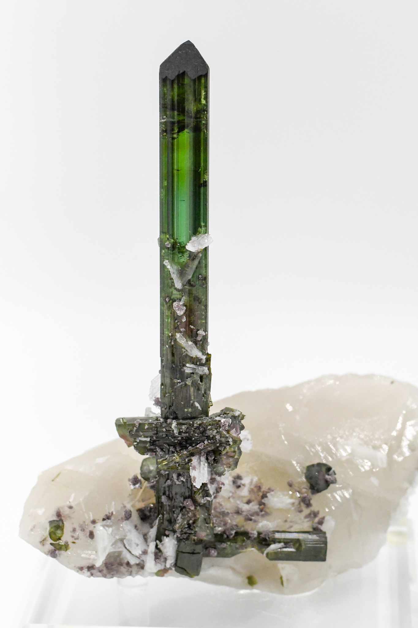 Elbaite Tourmaline on Quartz with Cleavelandite