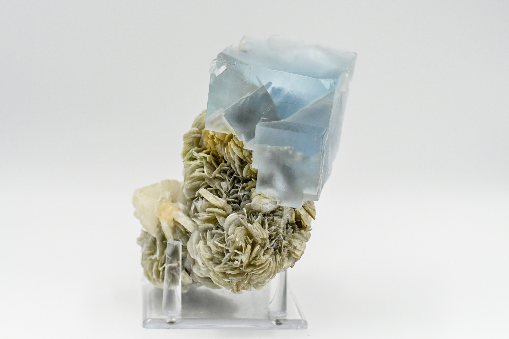 Fluorite on Muscovite - Amazing Blue Color 