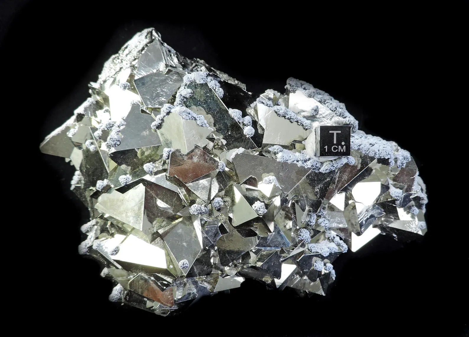 Pyrite - Octahedral with Snow-on-the-Roof Sphalerite - Huanzala Mine