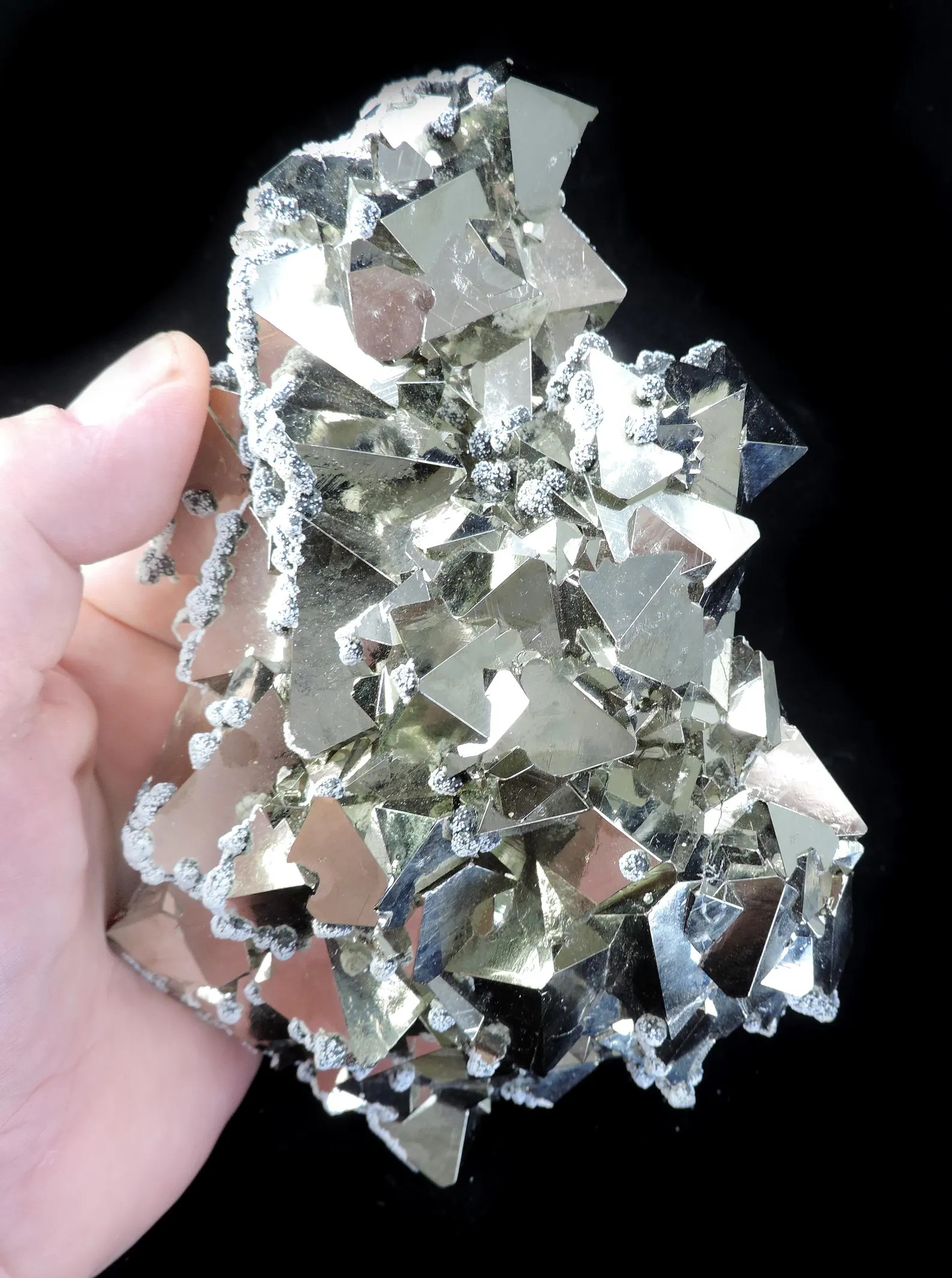 Pyrite - Octahedral with Snow-on-the-Roof Sphalerite - Huanzala Mine