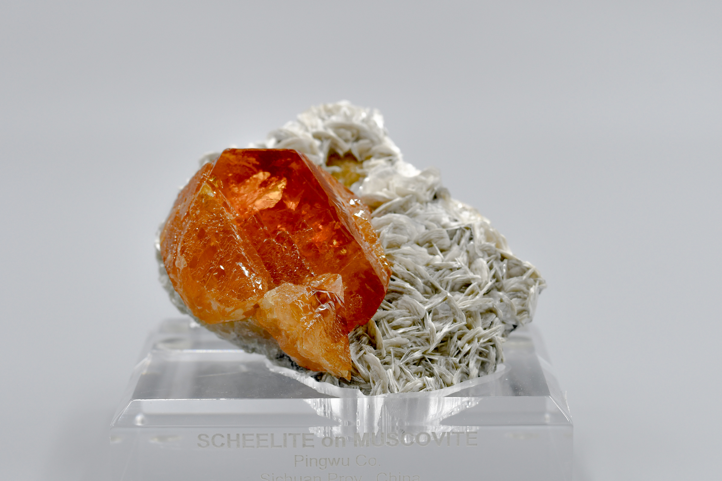 Gem Scheelite on Muscovite - Red Pocket