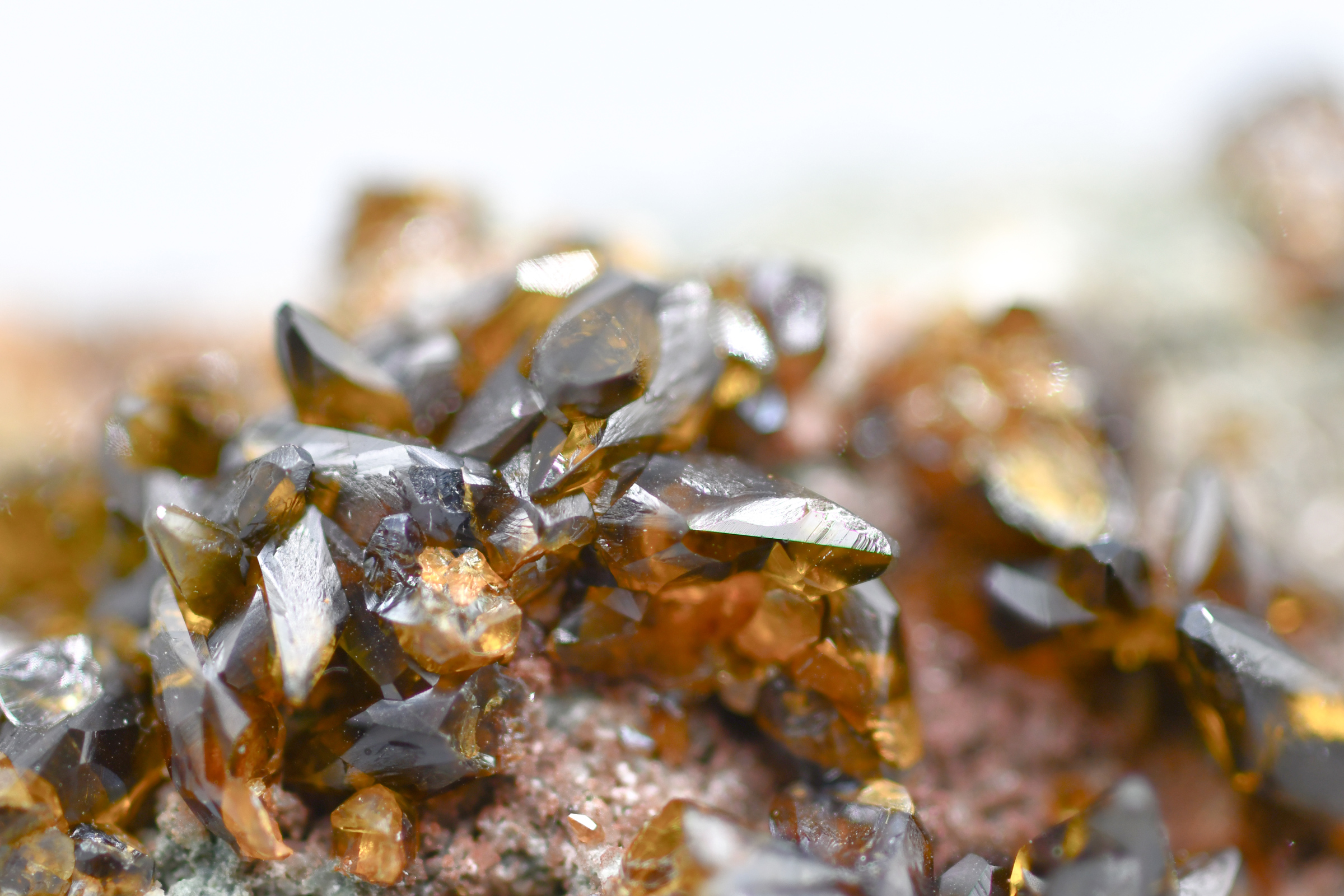 Siderite - Gem Scalenohedral / Dogtooth Crystals - Tsumeb