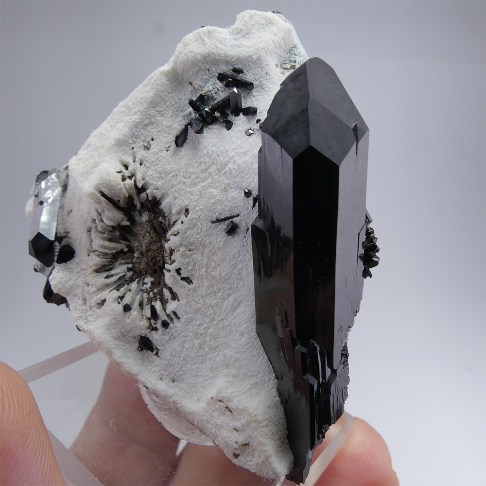 Neptunite on Natrolite - Classic San Benito Masterpiece