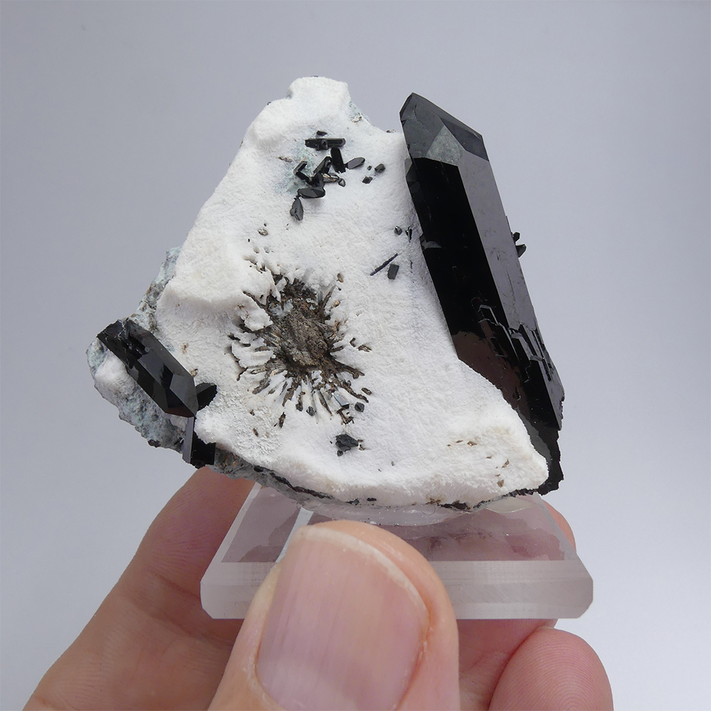 Neptunite on Natrolite - Classic San Benito Masterpiece